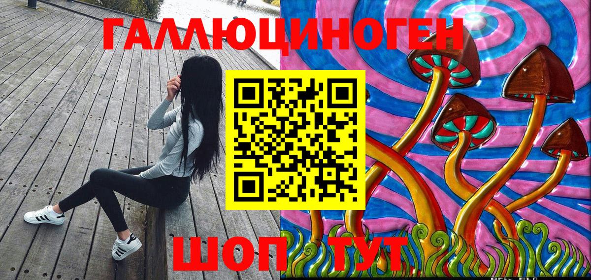 где найти наркотики  Псилоцибиновые грибы мицелий  Вход с VPN  Псилоцибиновые грибы Psilocybe  Черняховск 