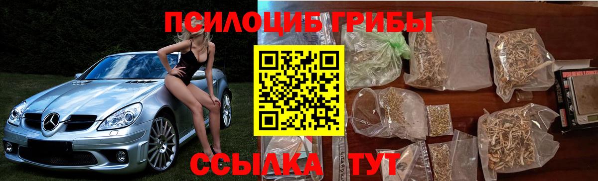 Псилоцибиновые грибы мухоморы Черняховск